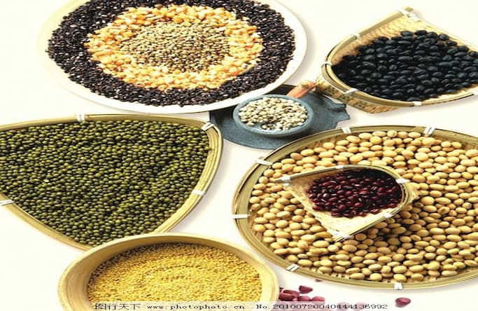 Yuanxin lanza la línea automatizada de bolsas de papel de doble tornillo ZD140-2